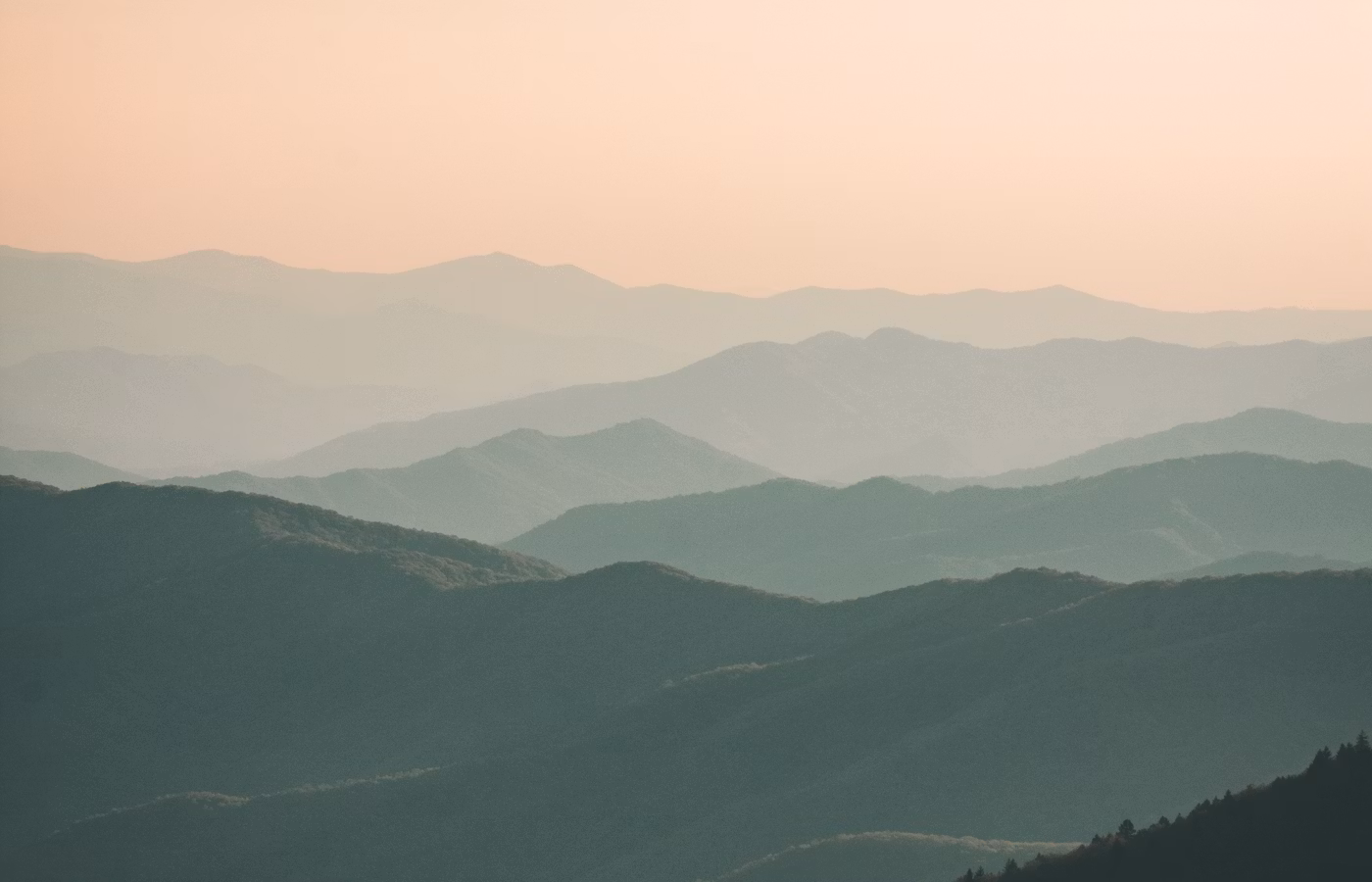 Эмоциональное истощение для эксперта